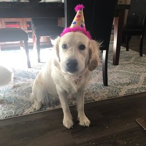 Meet your Posher, Dyanna